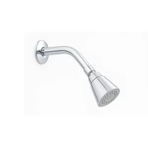 Regadera ecológica 2” con brazo y chapetón