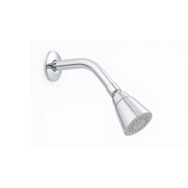 Regadera ecológica 2” con brazo y chapetón